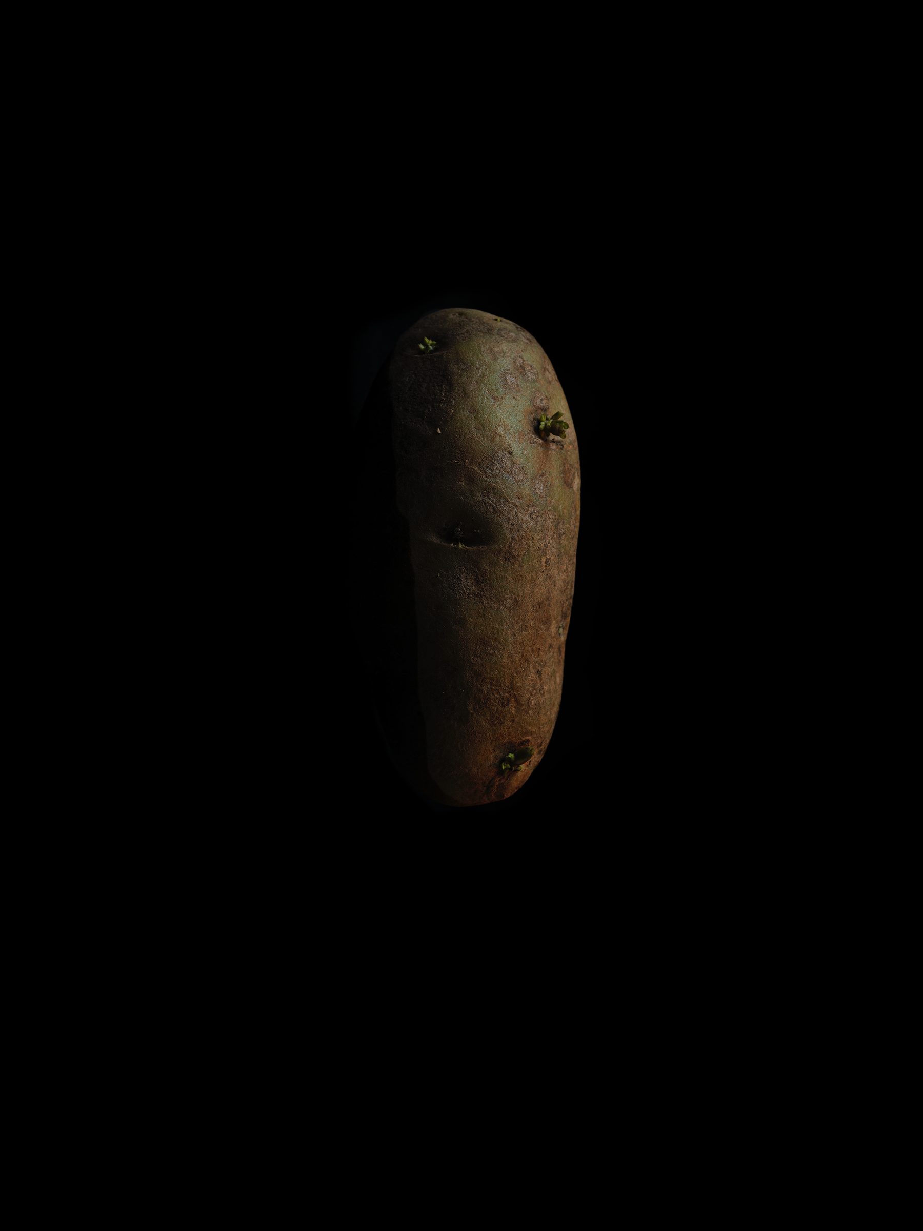 Space Spud #29 or Planetary Potato